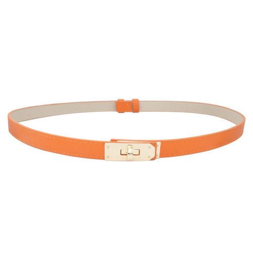 TURLOCK ACCENT BELT