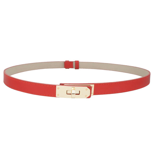 TURLOCK ACCENT BELT